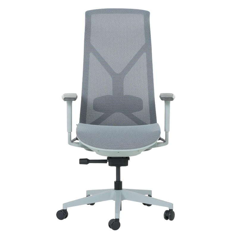 Ергономичен офис стол Carmen Bethal син